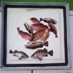 2010.04.21.JPG
