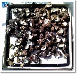 2012.07.281.jpg